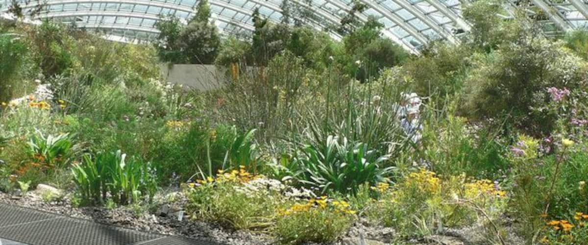 National Botanic Garden of Wales