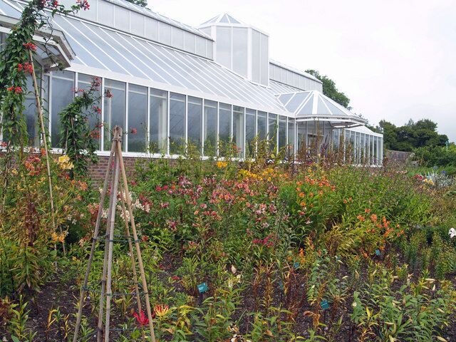 Un invernadero rodeado de diversas plantas en flor.