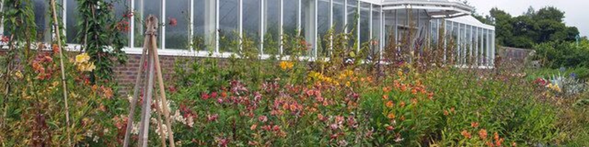 Un invernadero rodeado de diversas plantas en flor.