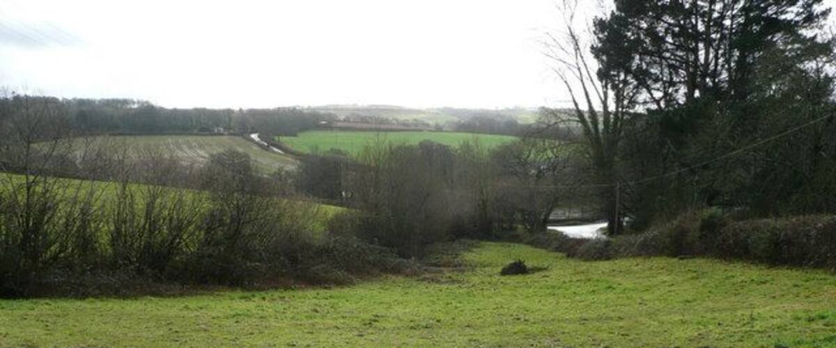 A rural landscape with a grassy field, a small stream, and trees.