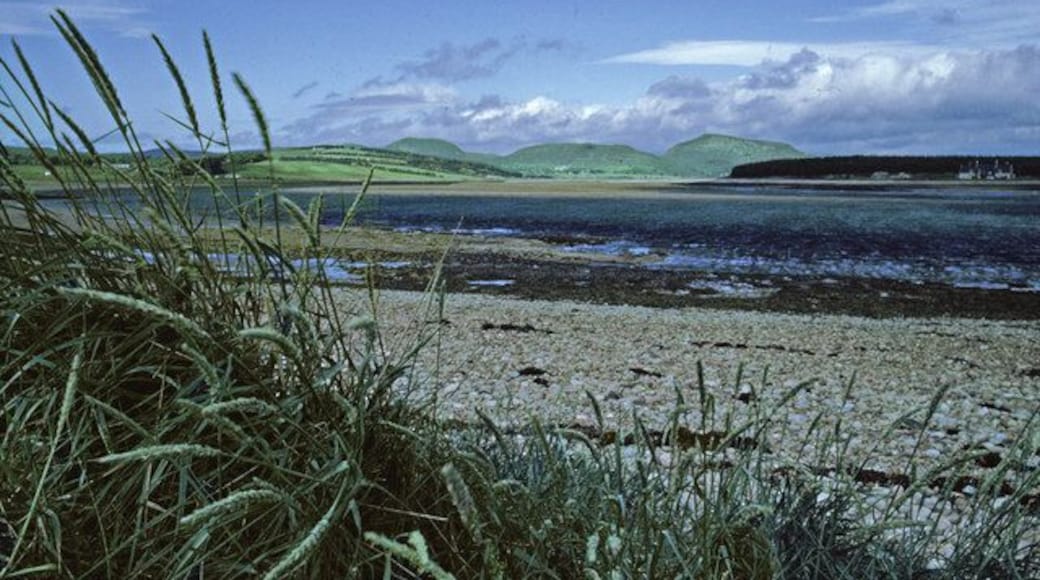 Shoreline of Loch Fleet, Sutherland, Scotland Stony shoreline of Loch Fleet with wild barley. The headland at Littleferry can be seen on the other side of the Loch on the right hand side of the image, with Balblair Wood in the distance with Mound Rock, Beinn Lunndaidh and Ben Bhraggie.