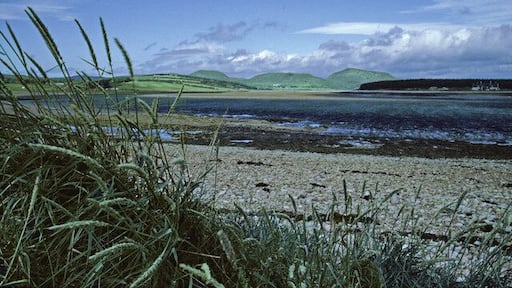 Shoreline of Loch Fleet, Sutherland, Scotland Stony shoreline of Loch Fleet with wild barley. The headland at Littleferry can be seen on the other side of the Loch on the right hand side of the image, with Balblair Wood in the distance with Mound Rock, Beinn Lunndaidh and Ben Bhraggie.