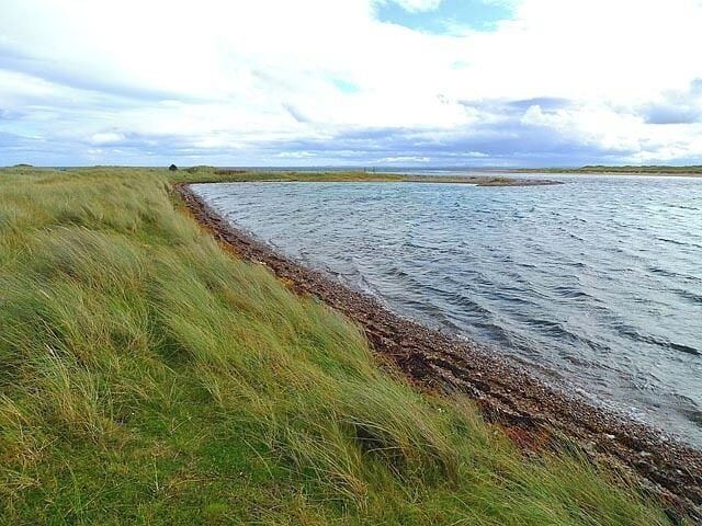 Coast near Littleferry This is part of the Loch Fleet National Nature Reserve.