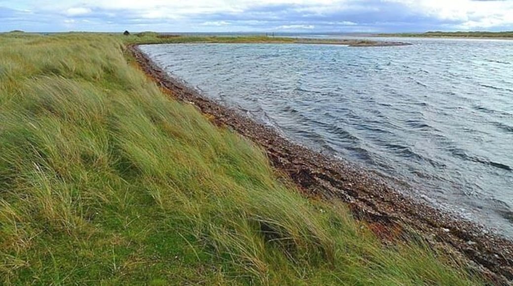 Coast near Littleferry This is part of the Loch Fleet National Nature Reserve.