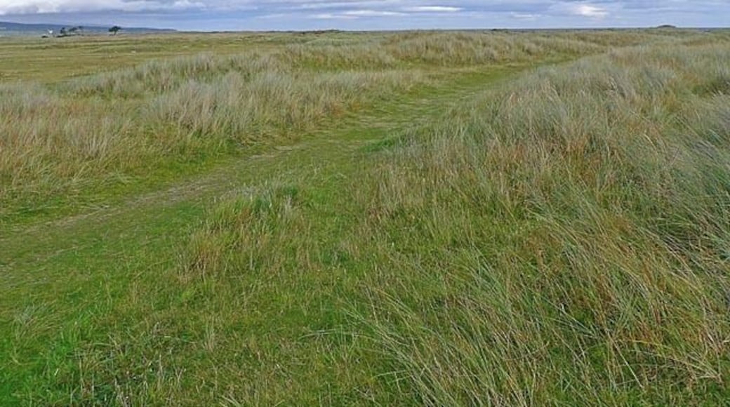 Dunes at Ferry Links Part of the Loch Fleet National Nature Reserve.
