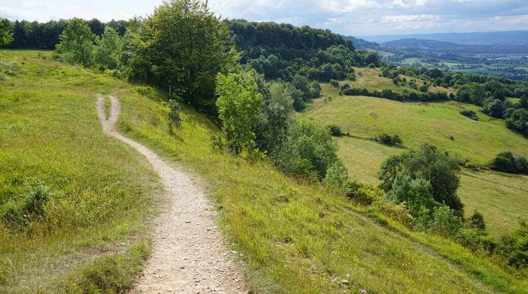 The Cotswold Way at Barrow Wake