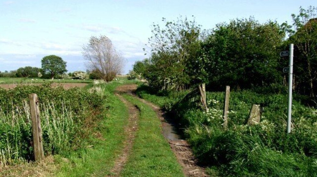 Footpath leading to the Steeping River It crosses the railway twice if you follow the path to Firsby and beyond.
