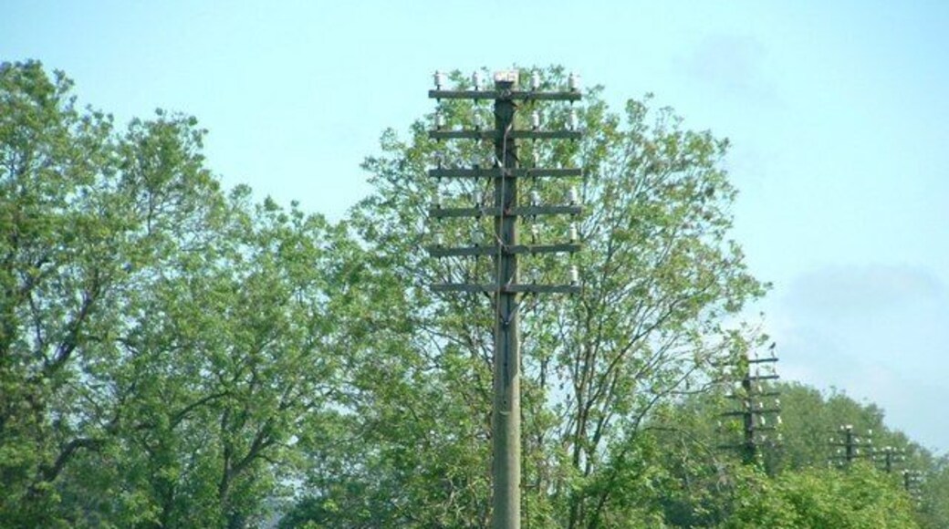 End of the Lines A once familiar sight to the side of the railway, these are five of the last six telegraph poles still standing between Boston and Firsby.