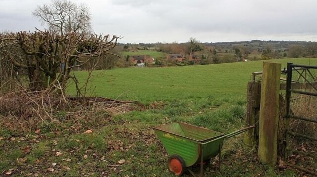 Three Elms from Hundred Bank Looking down over the fields from near Eddy Croft.