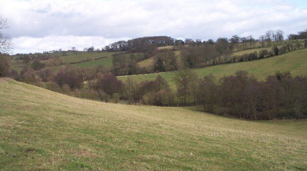 Odon Valley. Looking NE across the valley of the River Odon and up to Little Farm on the lefthand skyline.