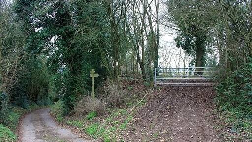Meeting of paths, Broxash Wood The bridleway descends to Ullingswick, but the footpath follows the contours through the woodland to the right.