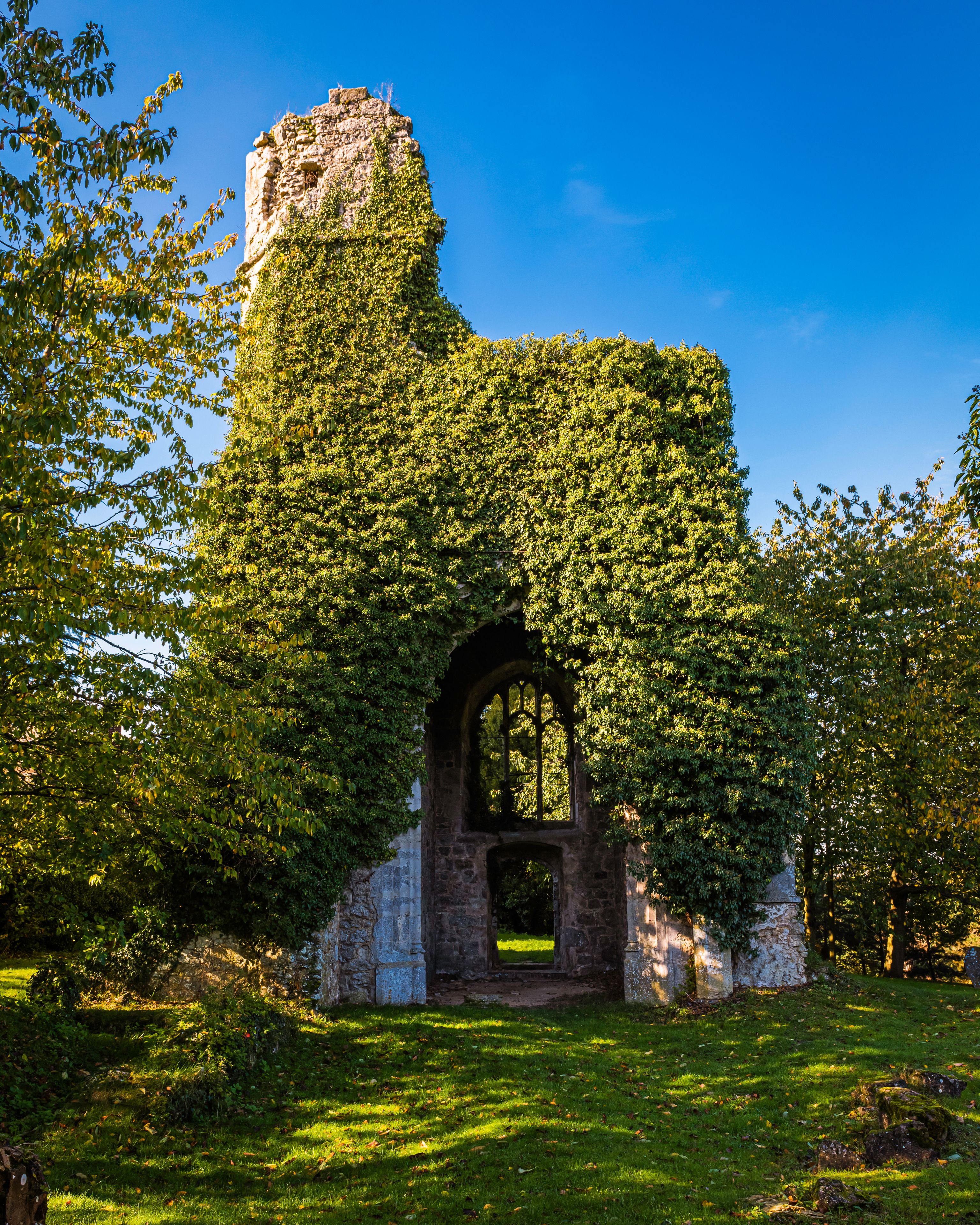 A stone structure partially covered by ivy, with an arched entrance and a clear blue sky in the background.