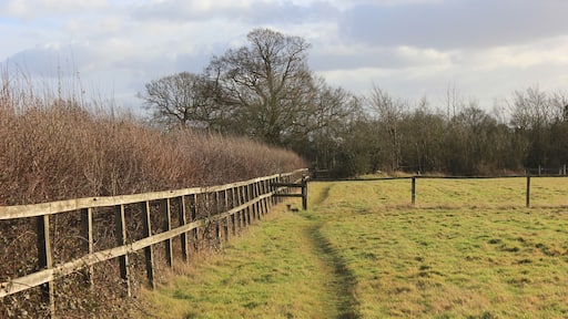 Bayford, Hertford SG13, UK