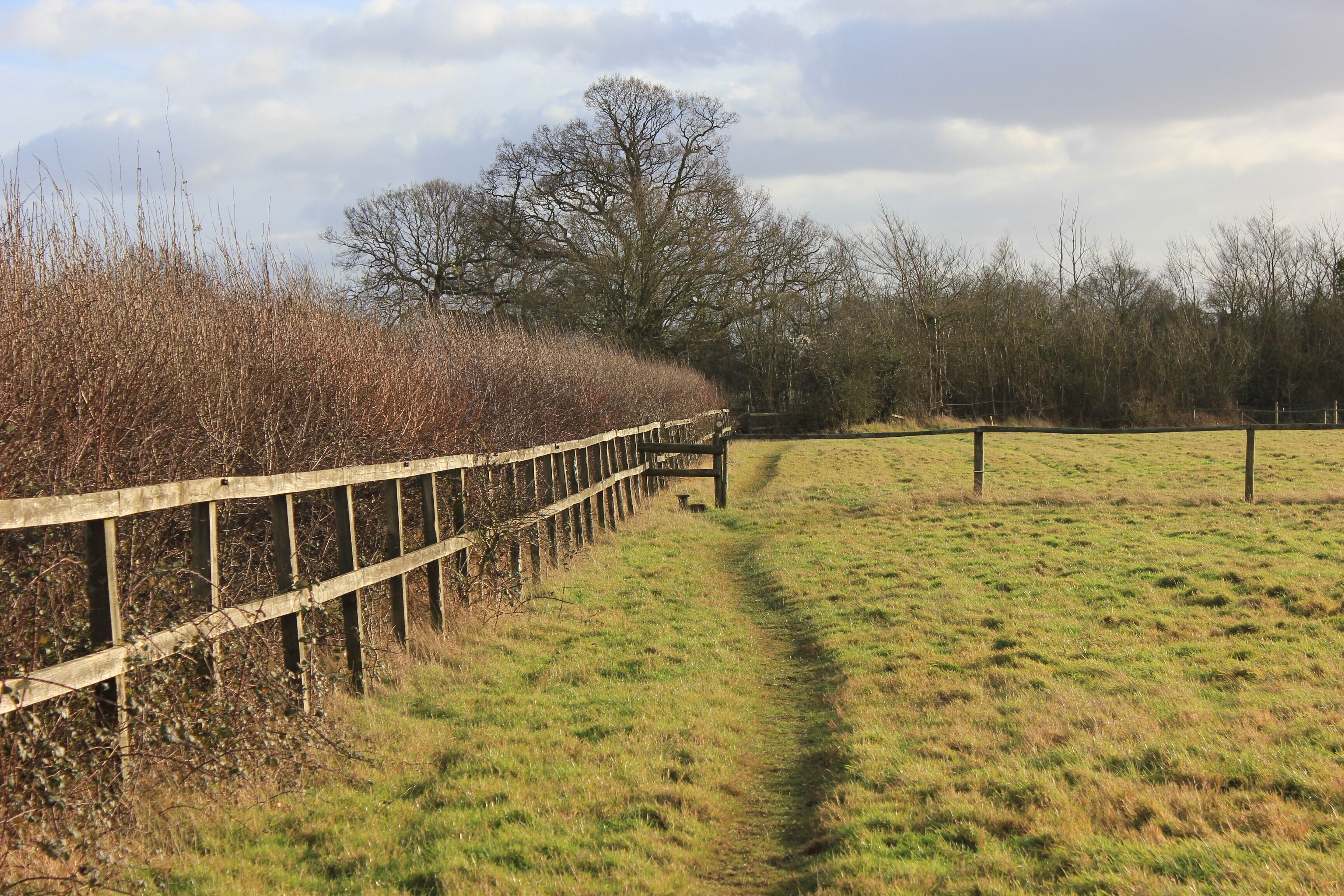 A grassy field with a wooden fence and a path leading through it.