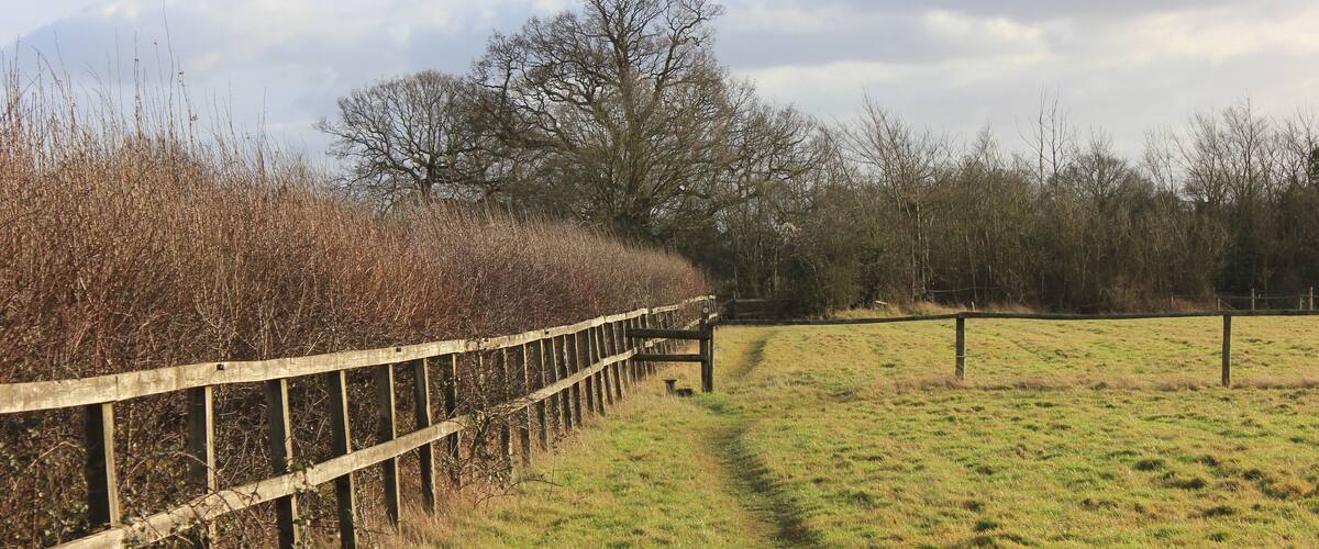 A grassy field with a wooden fence and a path leading through it.