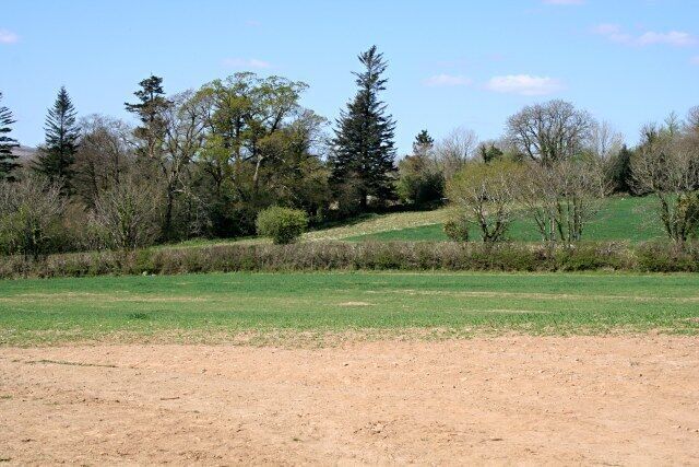 Fields and Trees The mixed broadleaved and coniferous trees over the fields hides Linkinhorne House from view.