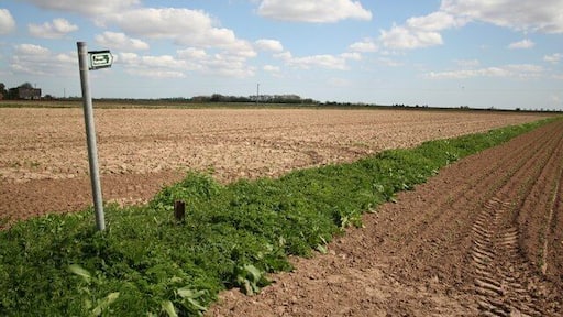 Footpath at Benington Sea End