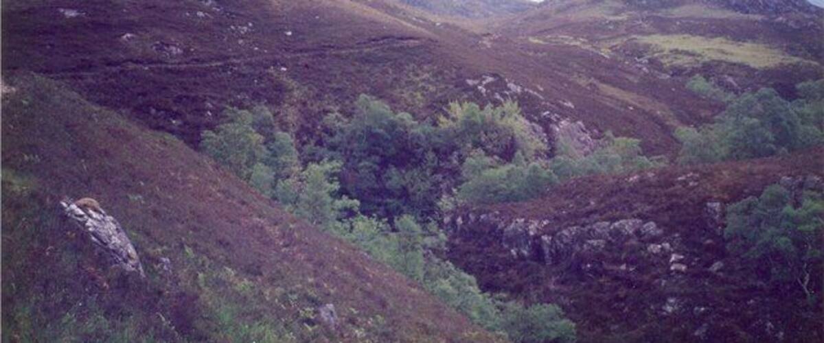 A rugged mountainous landscape with dense green vegetation and rocky terrain.