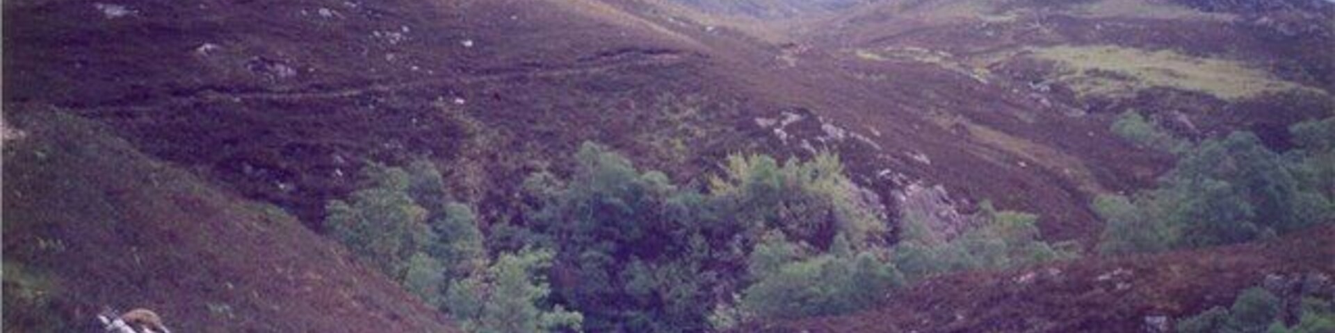 A rugged mountainous landscape with dense green vegetation and rocky terrain.