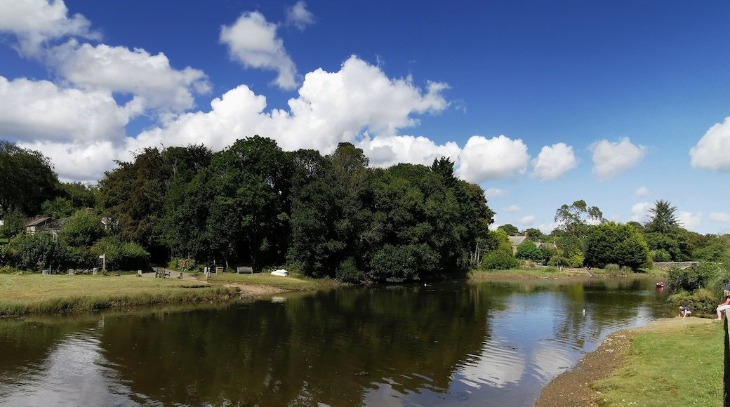The river Fower, Cornwall