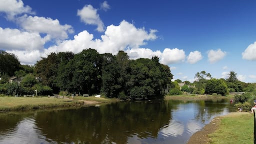 The river Fower, Cornwall