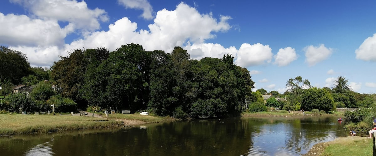 A calm river with a grassy bank, surrounded by dense trees and a clear blue sky with clouds.