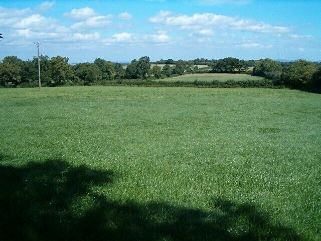 On top of the Mendips. Fields and hedgerows near Leigh-upon-Mendip.