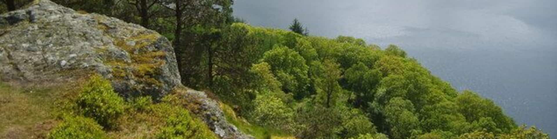 Thirlmere from Great How The recently clear felled top is a great viewpoint for Thirlmere