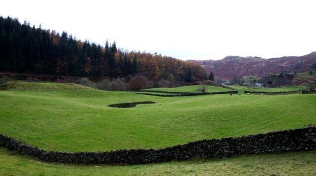 Fields at Bridge End Farm
