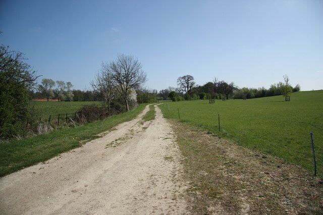 Parkland track. Track in Leadenham House parkland.