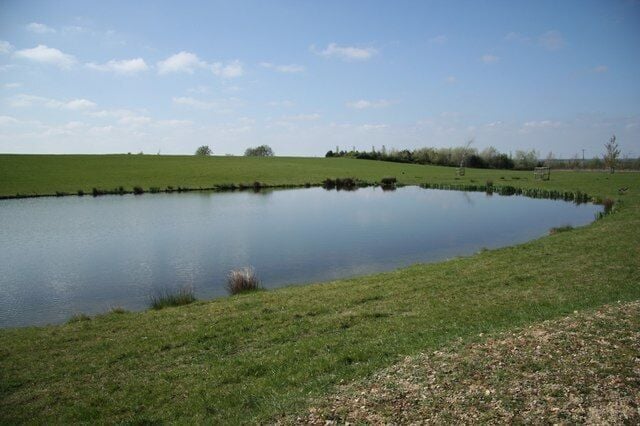 Parkland pond. Pond in Leadenham House parkland.