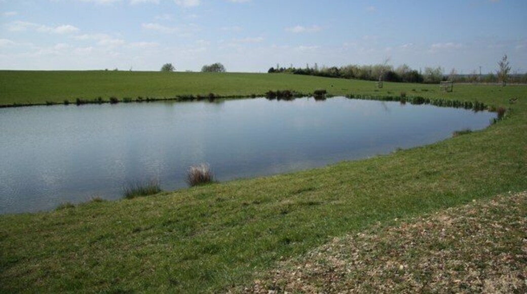 Parkland pond. Pond in Leadenham House parkland.