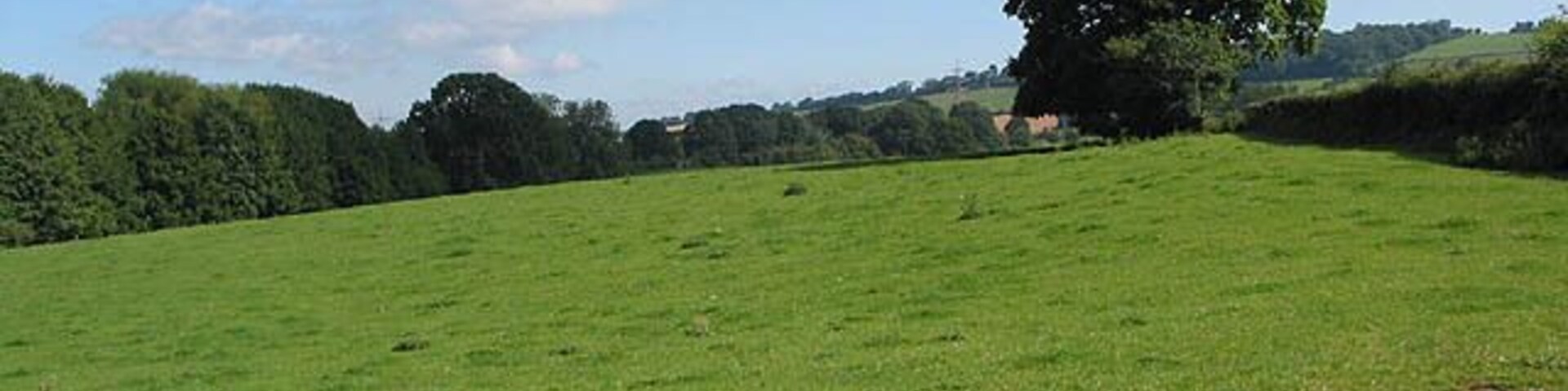 Grazing land off the B4224 near Lea