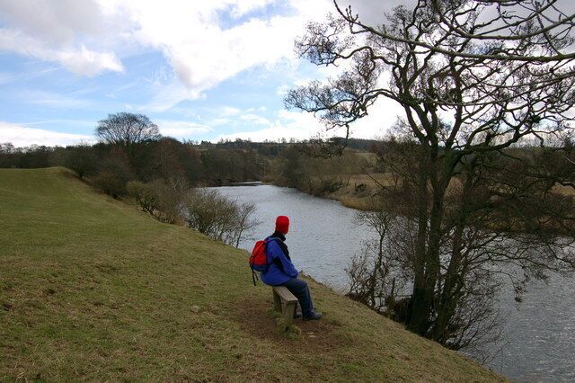 A lovely winter's day by the Eden south of Lazonby Bridge.