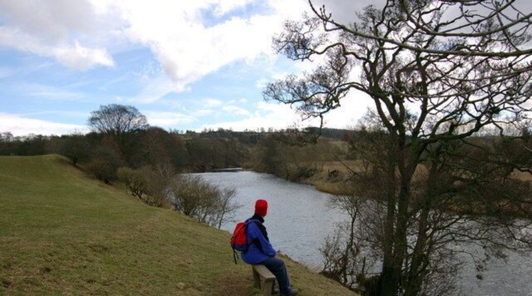 A lovely winter's day by the Eden south of Lazonby Bridge.