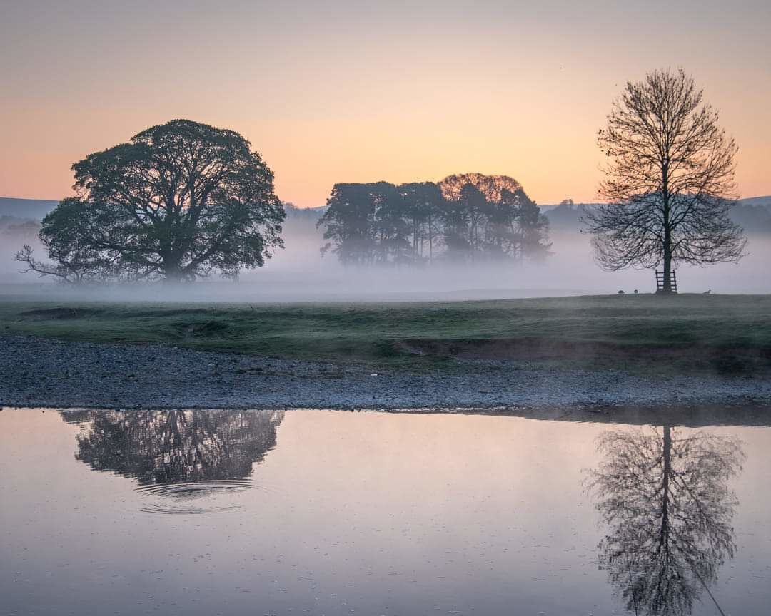 A calm lake with reflections of trees and a misty landscape at sunrise.