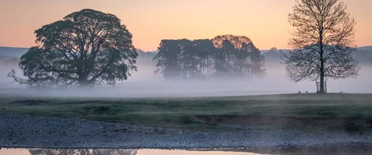 A calm lake with reflections of trees and a misty landscape at sunrise.