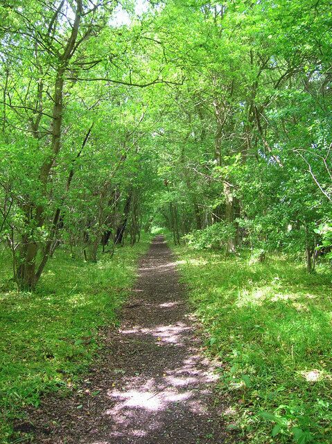 Black Shaw. Taken from the footpath that links Laughton Church to Colbrans Court.