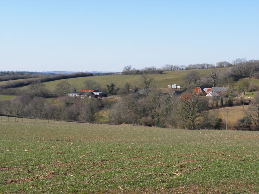 View towards Rensey