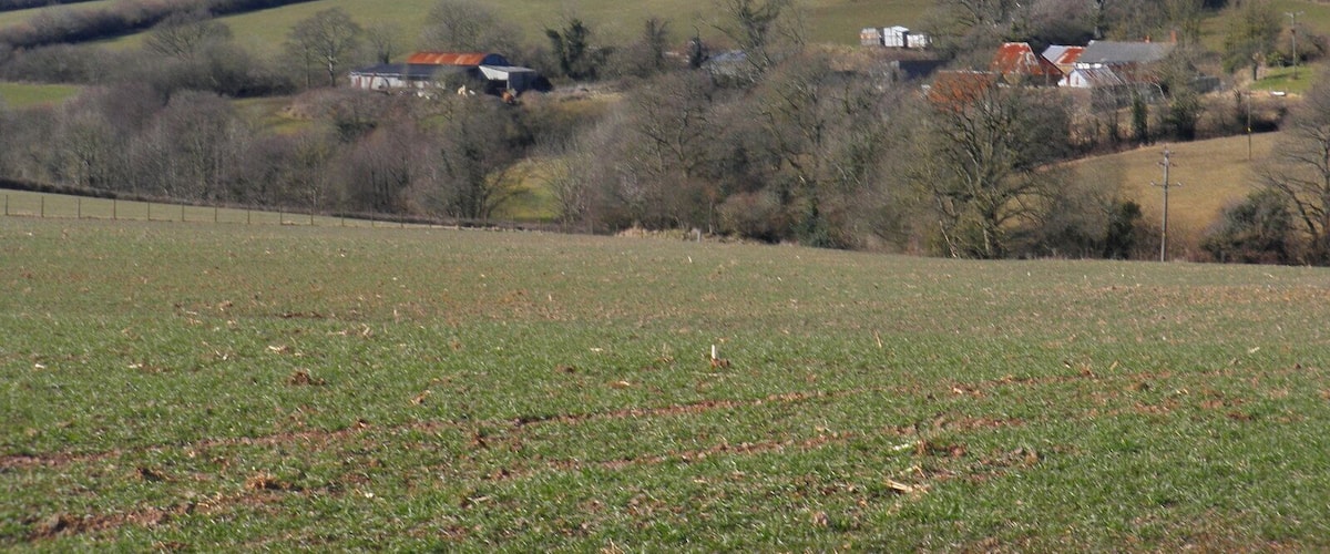 A rural landscape with rolling hills, scattered houses, and a fenced field.