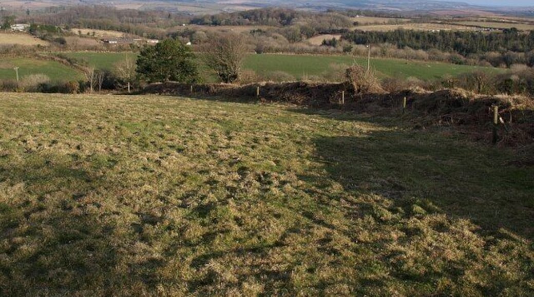 Afternoon sun near Lanlivery. Taken just north of 1760842; the bank to the right of the gate continues down the steepening slope into the valley below Nill Beam Farm.