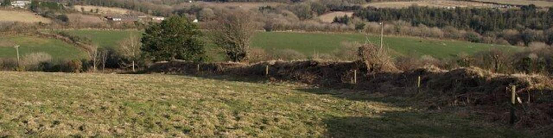 Afternoon sun near Lanlivery. Taken just north of 1760842; the bank to the right of the gate continues down the steepening slope into the valley below Nill Beam Farm.