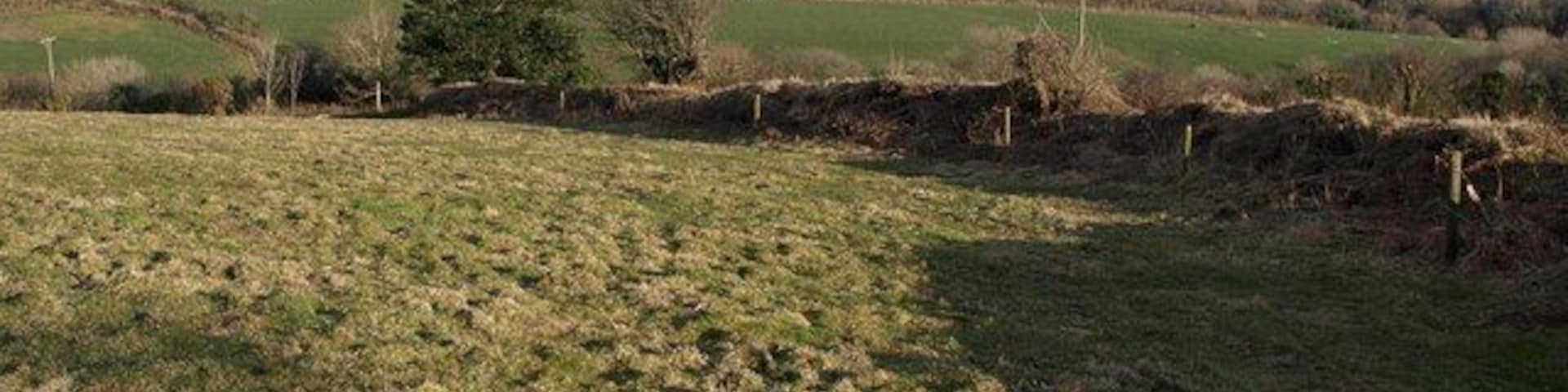 Afternoon sun near Lanlivery. Taken just north of 1760842; the bank to the right of the gate continues down the steepening slope into the valley below Nill Beam Farm.