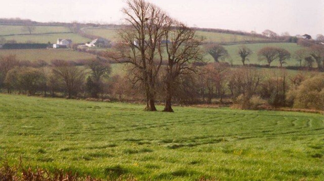 Trees in a field, Tremeere Manor, Lanivet A line of trees in a field often indicates a former hedgerow, but here there are just two close together in the middle of the field, and they were shown on the 1888 6 inch map. Lower Tredenham Farm is in the distance.