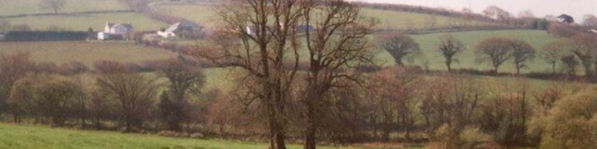 Trees in a field, Tremeere Manor, Lanivet A line of trees in a field often indicates a former hedgerow, but here there are just two close together in the middle of the field, and they were shown on the 1888 6 inch map. Lower Tredenham Farm is in the distance.