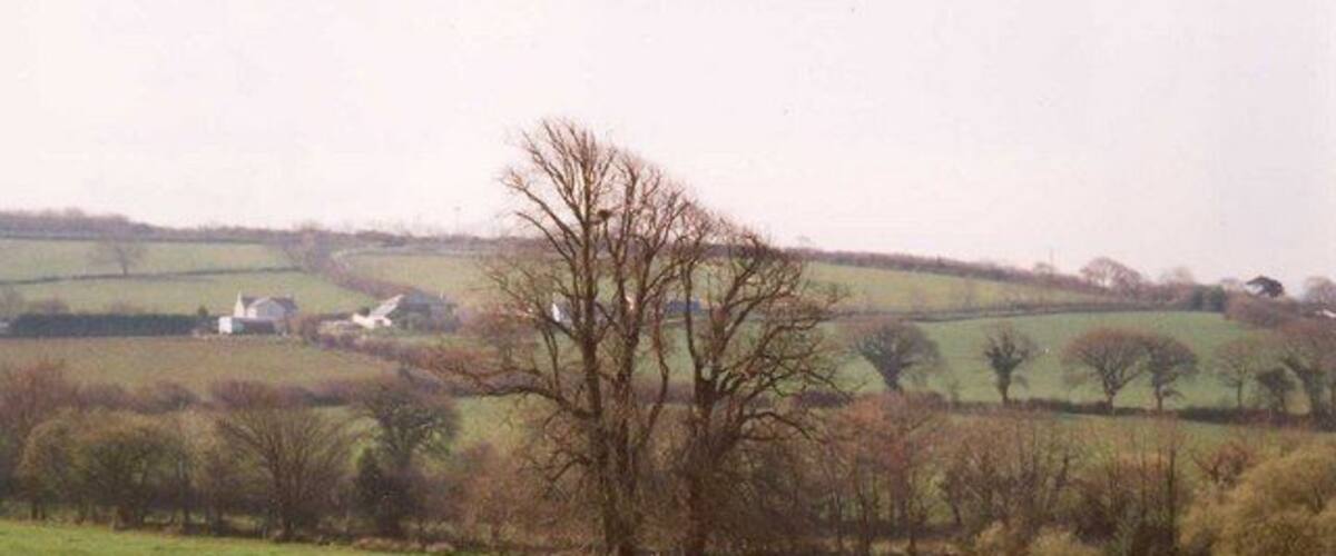 A rural landscape with a single leafless tree in a green field, rolling hills, and a few scattered buildings in the distance.