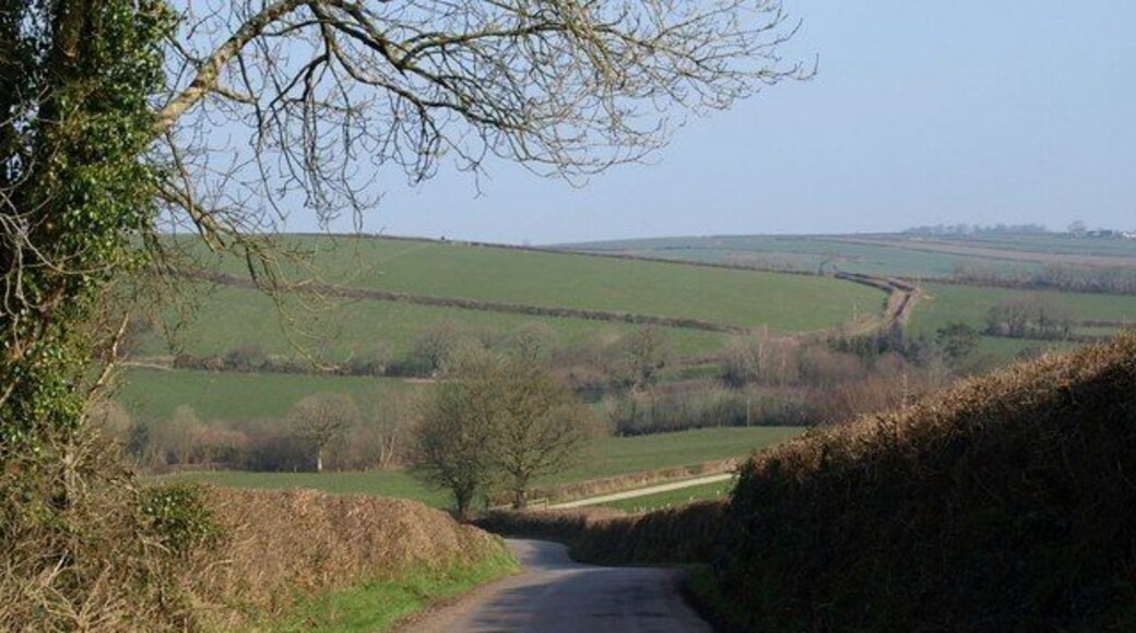 Lane to Little Comfort. Little Comfort is the farm along the track which leads off to the right behind the hedge. The lane, which has come from Sandylane Cross, plunges down towards the Langtree Lake valley, which is off to the left. Seen from close to the point where 701046 was taken, looking across to the left of this scene.