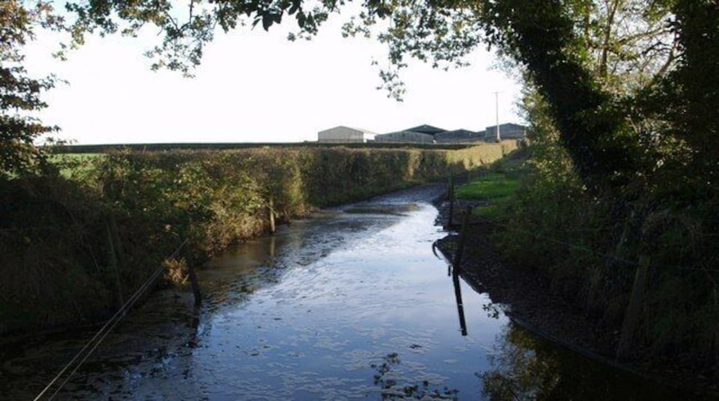 Track to East Badworthy. Potential visiotrs to the farm will be pleased to know that an alternative entrance exists, directly from the Shebbear to Langtree lane; this one turns away from the equally off-putting 577882 at this point.