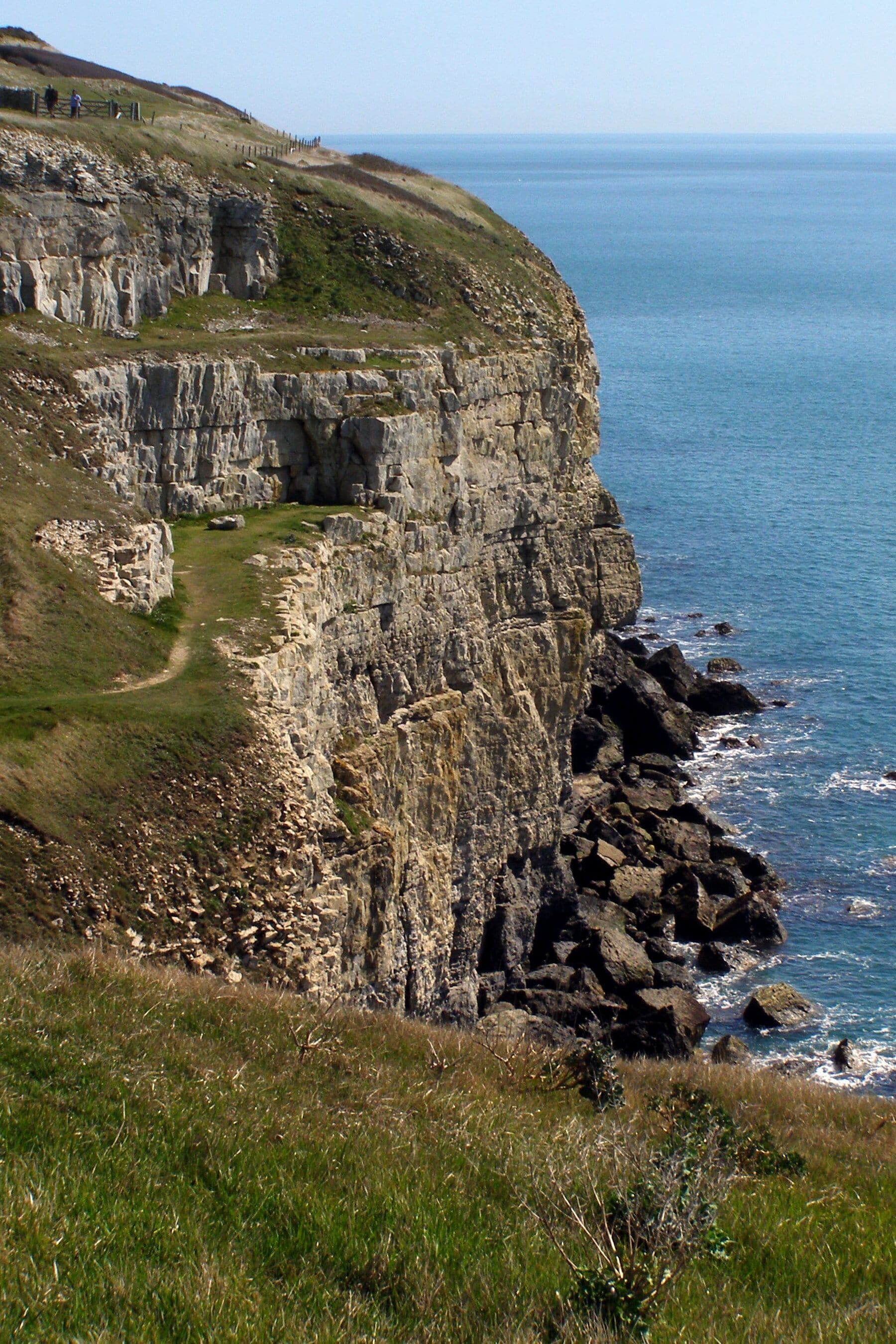 A coastal cliff with a path leading to a grassy area and a rocky shoreline.