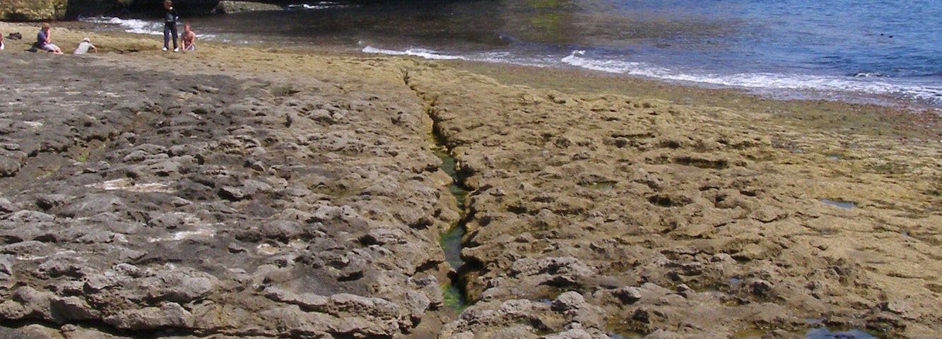 Una playa rocosa con un acantilado al fondo.